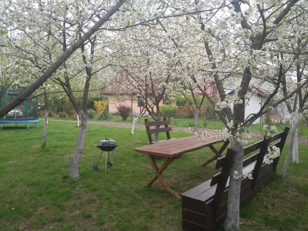 Smyrkowy Dom Z Kominkiem Z Goraca Balia Kolo Karpacza Janowice Wielkie Εξωτερικό φωτογραφία